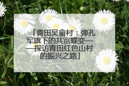 青田吴畲村：弹孔军旗下的共富蝶变——探访青田红色山村的振兴之路
