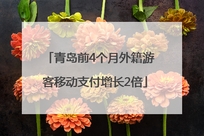 青岛前4个月外籍游客移动支付增长2倍