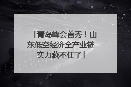 青岛峰会首秀！山东低空经济全产业链实力藏不住了
