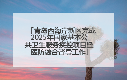 青岛西海岸新区完成2025年国家基本公共卫生服务疾控项目暨医防融合督导工作