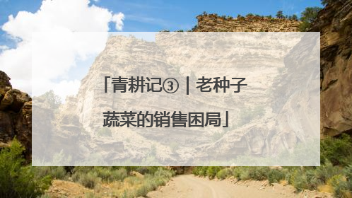 青耕记③｜老种子蔬菜的销售困局
