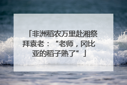 非洲稻农万里赴湘祭拜袁老：“老师，冈比亚的稻子熟了”