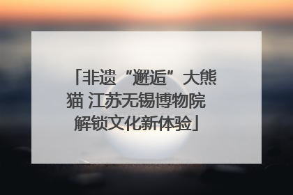 非遗“邂逅”大熊猫 江苏无锡博物院解锁文化新体验