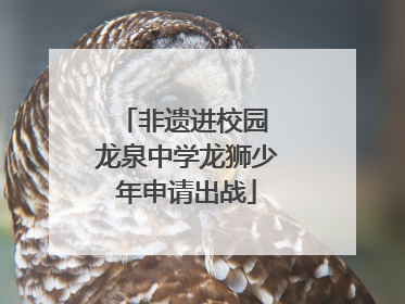 非遗进校园 龙泉中学龙狮少年申请出战