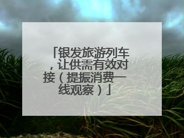银发旅游列车，让供需有效对接（提振消费一线观察）