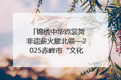 锦绣中华霓裳舞 非遗薪火耀北疆—2025赤峰市“文化和自然遗产日”非遗宣传展示活动纪实