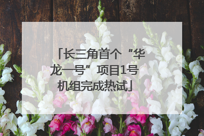 长三角首个“华龙一号”项目1号机组完成热试