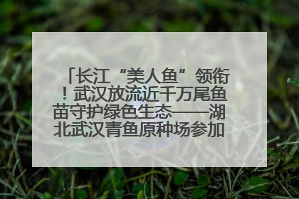 长江“美人鱼”领衔！武汉放流近千万尾鱼苗守护绿色生态——湖北武汉青鱼原种场参加2025年“全国放鱼日”增殖放流活动