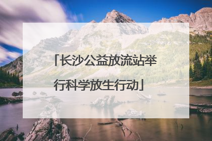 长沙公益放流站举行科学放生行动