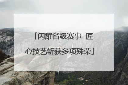 闪耀省级赛事  匠心技艺斩获多项殊荣