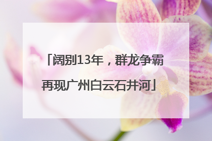 阔别13年，群龙争霸再现广州白云石井河