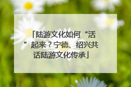 陆游文化如何“活 ”起来？宁德、绍兴共话陆游文化传承