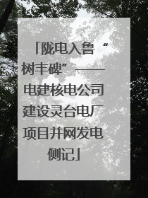 陇电入鲁“树丰碑”——电建核电公司建设灵台电厂项目并网发电侧记