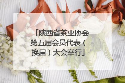 陕西省茶业协会第五届会员代表（换届）大会举行