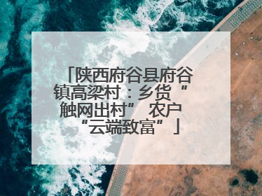 陕西府谷县府谷镇高梁村：乡货“触网出村” 农户“云端致富”