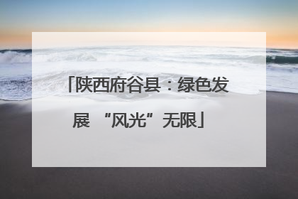 陕西府谷县：绿色发展 “风光”无限