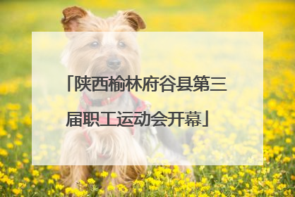 陕西榆林府谷县第三届职工运动会开幕