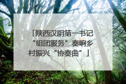 陕西汉阴第一书记“组团服务”奏响乡村振兴“协奏曲”