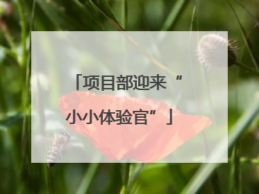 项目部迎来“小小体验官”