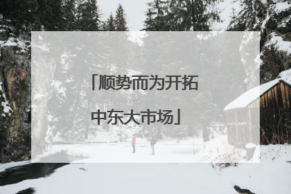 顺势而为开拓中东大市场
