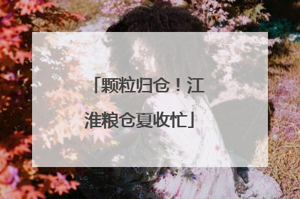 颗粒归仓！江淮粮仓夏收忙