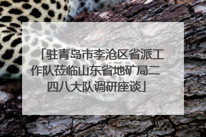驻青岛市李沧区省派工作队莅临山东省地矿局二四八大队调研座谈