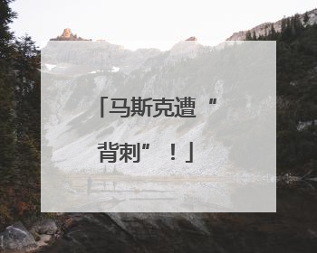 马斯克遭“背刺”！