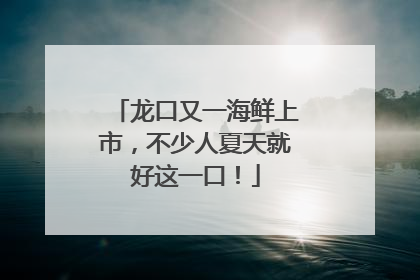 龙口又一海鲜上市，不少人夏天就好这一口！