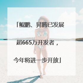 鲲鹏、昇腾已发展超665万开发者，今年将进一步开放