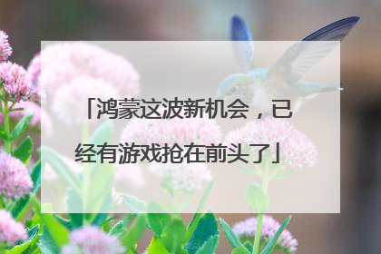 鸿蒙这波新机会，已经有游戏抢在前头了