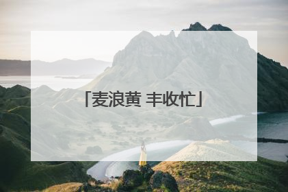 麦浪黄 丰收忙