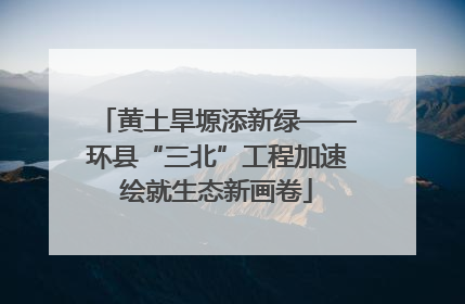 黄土旱塬添新绿——环县“三北”工程加速绘就生态新画卷