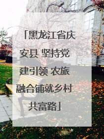 黑龙江省庆安县 坚持党建引领 农旅融合铺就乡村共富路