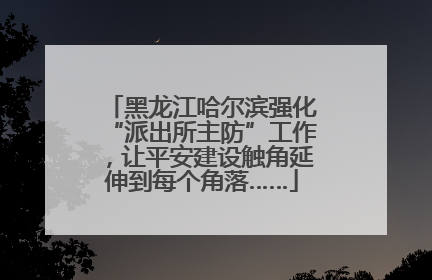 黑龙江哈尔滨强化“派出所主防”工作，让平安建设触角延伸到每个角落……