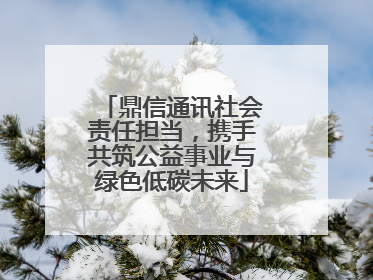 鼎信通讯社会责任担当，携手共筑公益事业与绿色低碳未来