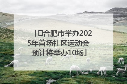 ﻿合肥市举办2025年首场社区运动会 预计将举办10场
