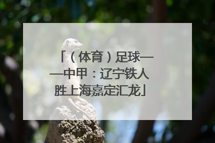 （体育）足球——中甲：辽宁铁人胜上海嘉定汇龙
