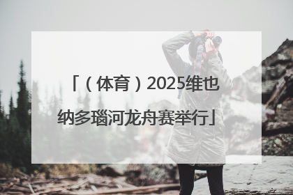 （体育）2025维也纳多瑙河龙舟赛举行