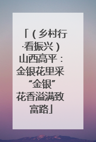 （乡村行·看振兴）山西高平：金银花里采“金银” 花香溢满致富路