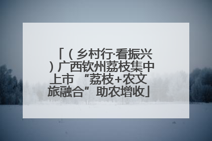 （乡村行·看振兴）广西钦州荔枝集中上市 “荔枝+农文旅融合”助农增收