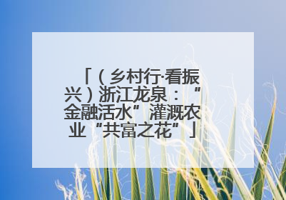 （乡村行·看振兴）浙江龙泉：“金融活水”灌溉农业“共富之花”