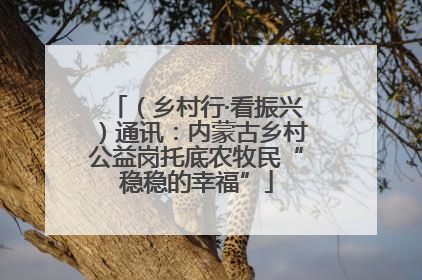 （乡村行·看振兴）通讯：内蒙古乡村公益岗托底农牧民“稳稳的幸福”