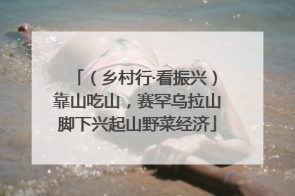 （乡村行·看振兴）靠山吃山，赛罕乌拉山脚下兴起山野菜经济