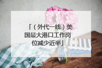 （外代一线）美国最大港口工作岗位减少近半