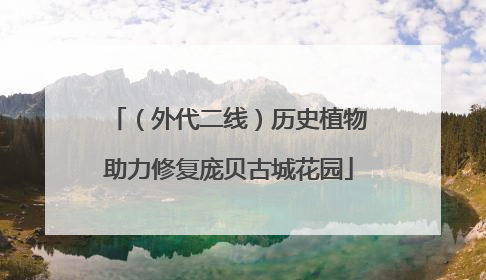 （外代二线）历史植物助力修复庞贝古城花园