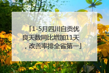 1-5月四川自贡优良天数同比增加11天，改善率排全省第一