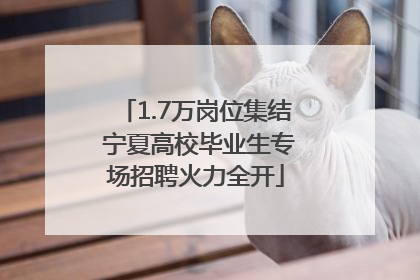 1.7万岗位集结 宁夏高校毕业生专场招聘火力全开