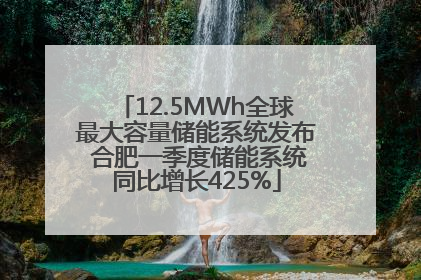12.5MWh全球最大容量储能系统发布 合肥一季度储能系统同比增长425%