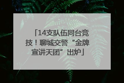 14支队伍同台竞技！聊城交警“金牌宣讲天团”出炉