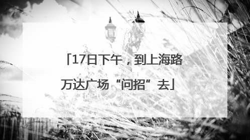17日下午，到上海路万达广场“问招”去